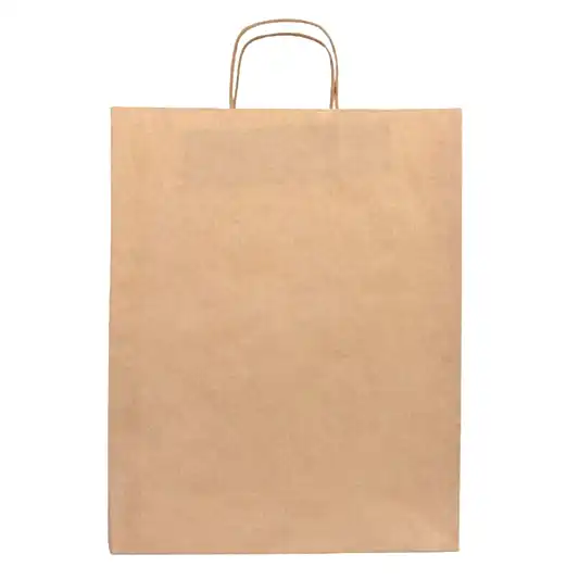 Burgu Saplı Kraft Kağıt Çanta - 32x12x41 cm - Detay Görünüm | istecanta